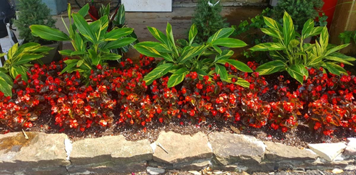 Landscaping services may include regular flower bed maintenance.