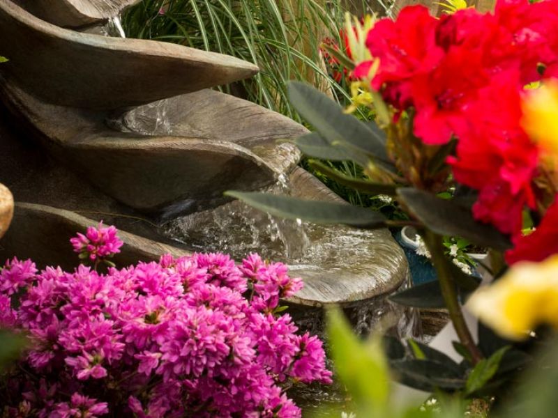 A small water garden can make a huge impact.